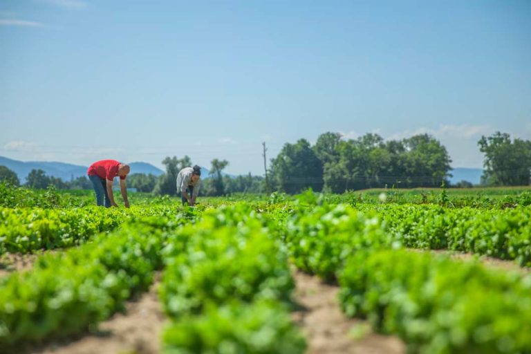 AGROVITAL CUMPLE 6 MESES DE FUNDACIÓN
